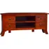 Televizní stolek TV stolek klasický 100 x 40 x 45 cm hnědý mahagon