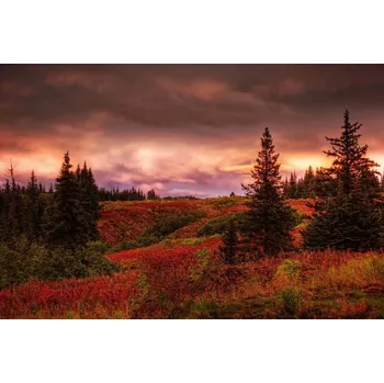 Fototapeta DIMEX | Vliesová fototapeta Červánky na Aljašce MS-5-1736 | 375 x 250 cm| zelená, červená, hnědá + Vliesová fototapeta na stěnu DIMEX Červánky na Aljašce MS51736 v rozměru 375 x 250 cm + lepidlo zdarma