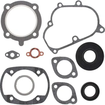 Těsnění motoru Winderosa sada těsnění motoru (s olejovým těsněním) Yamaha 246 GP/GS 74