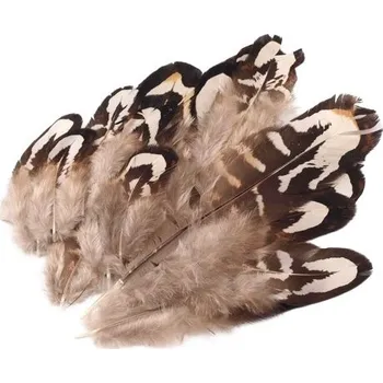 Bažantí peří (5ks) šedobéžová, délka 4 - 10 cm