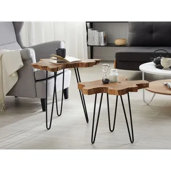 Obývací pokoj Sada 2 odkládacích stolků z hnědého černého dřeva s kovovým lakovaným ručně vyráběným nepravidelným stolem moderní Beliani