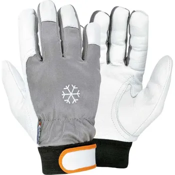 Pracovní rukavice Rukavice Cofra Coldext Barva: Bílá;Šedá, Velikost rukavic: 9