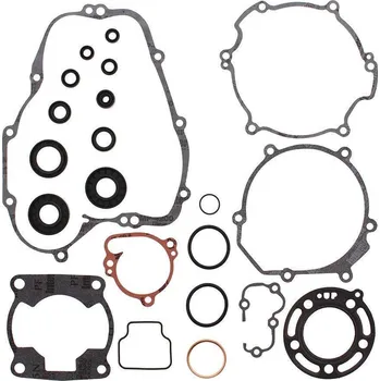 Těsnění motoru Winderosa sada těsnění motoru (s olejovým těsněním) Kawasaki KX80 98-00