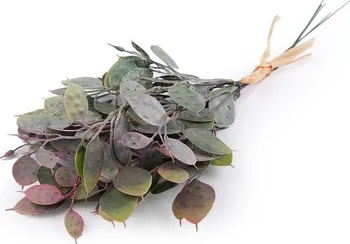 Umělá květina Stoklasa Umělý eukalyptus 35 cm zelený