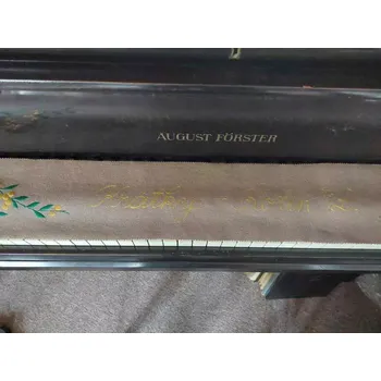 Dečka na klávesnici piana Krátký Kolín nad Labem