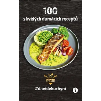 David v kuchyni 1. díl kuchařky: 100 skvělých domácích receptů Kniha