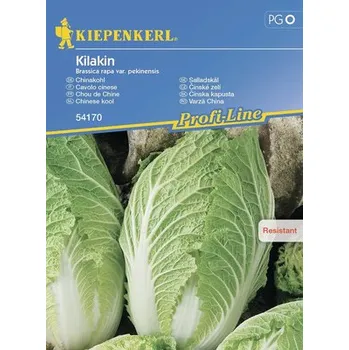 Semeno Kiepenkerl Čínské Zelí Kilakin F1
