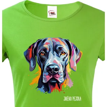 Dámské tričko Dámské tričko Německá doga, Barva Zelená, Velikost M, Canvas Dámské tričko s krátkým rukávem 2453