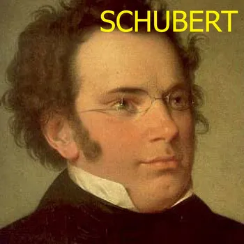 Franz Schubert: Smyčcový kvartet č. 14 d moll "Smrt a dívka"