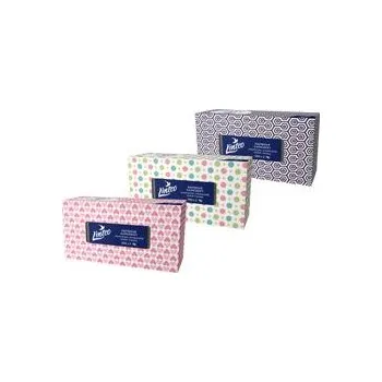 Kapesníky papírové Linteo 2vrstvé box 200ks