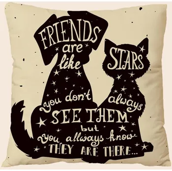 Povlak na dekorativní polštářek Povlak na polštář, friends
