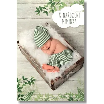 Nekupto hrací přání Z MECHU A KAPRADÍ / Josef Svejkovský 8595040011502