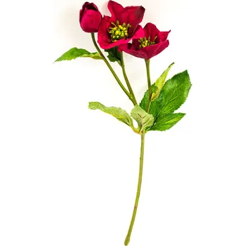 umělá květina Umělé květina, Čemeřice - Helleboris spray Quin beauty/červená 41cm