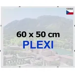 BFHM Euroclip 60 x 50 cm