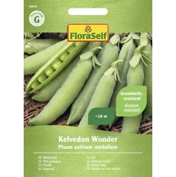 Semeno Hrách setý Kelvedon Wonder FloraSelf