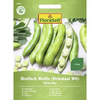 Semeno Bob obecný Dreifach Weiße FloraSelf