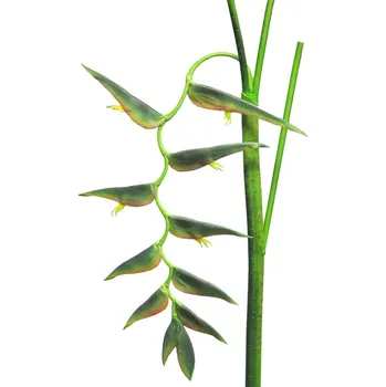umělá květina Umělé květina, helekónie - Heliconia ecosia zelená V85 cm