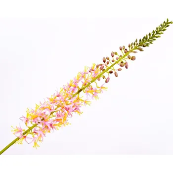 umělá květina Umělé květina, Liliochvostec eremurus stonek růžový 104 cm