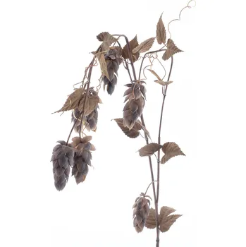 umělá květina umělá květina, Velký chmelový květ x5 / s listy hnědá V175 cm
