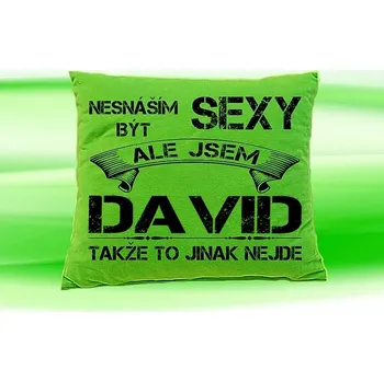 Dekorativní polštářek Polštář se jménem DAVID (Polštářek nesnáším být sexy )