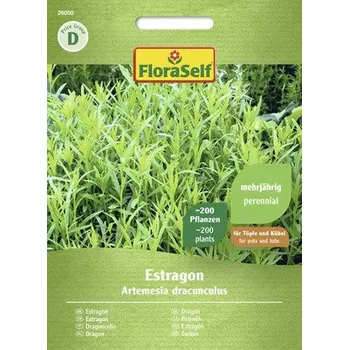 Semeno Estragon FloraSelf
