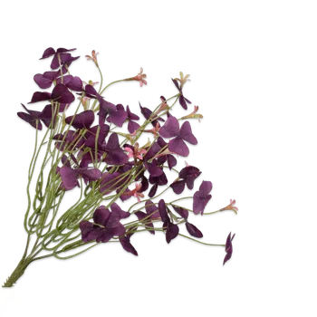 umělá květina Umělá rostlina, Rostlina keř fialová V32 cm