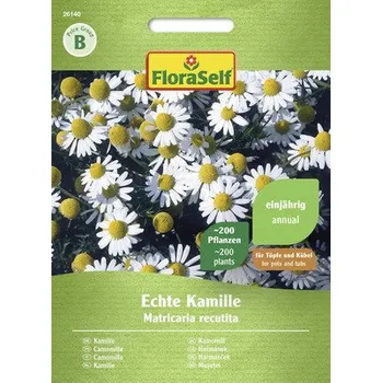 Semeno Heřmánek pravý FloraSelf