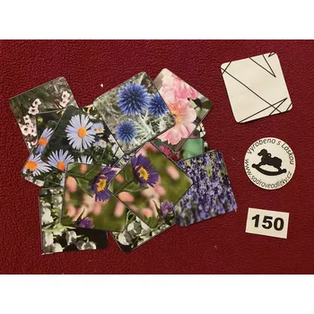 Pexeso HandMade by VeJa Velké pexeso vel.XL č.150 - Jarní rostliny (36kousků)