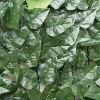umělý živý plot Tenax Divy Laurus 1m x 20 m