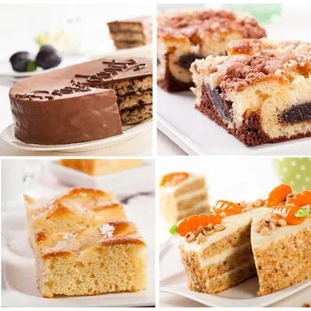 Zeelandia Směs na dortový korpus Basis Cake Hmotnost: 0,5 kg