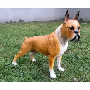 Zahradní dekorace Prodex Import Pes boxer