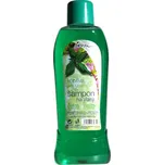 Chopa Kopřiva šampon proti lupům 1 l