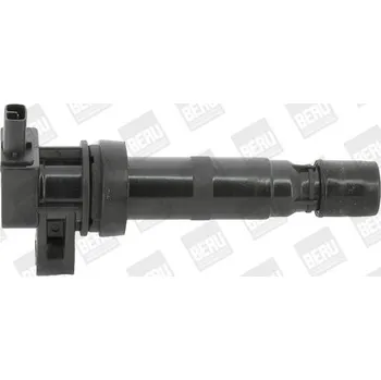 Zapalovací cívka Zapalovací cívka BorgWarner (BERU) ZS531