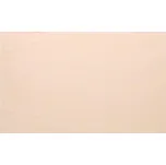 Březová překližka (B/BB) - 6 x 600 x 300 mm