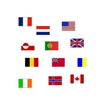 Vlajka lindemann - Vlajka Francie 20x30 cm