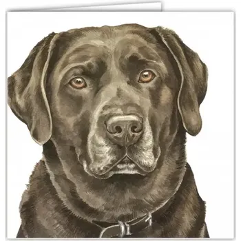 Přání v obálce Hnědý Labrador, WD 16,5 x 16,5 cm (Blahopřání s obálkou s pejskem, psi, pes)