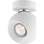 Nova Luce Bodové svítidlo TORE, GU10 1x10W Barva: Bílá