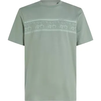 Pánské tričko Pánské Tričko s krátkým rukávem O'NEILL MIX & MATCH FLORAL GRAPHIC T-SHIRT 2850212-16017 – Zelená XL
