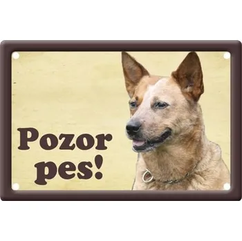Plechová cedule Plechová psí cedule, Australský honácký pes, Pozor pes