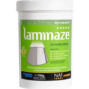 Laminaze pro koně se sklony ke schvácení, Kyblík - 3 kg