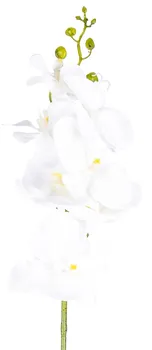 Umělá květina Umělá orchidej 86 cm čistě bílá