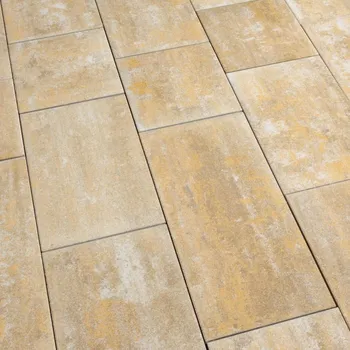 Best Beleza standard 60 mm