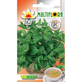 Semeno Semena MÁTA - Mentha spicata (0,1g)