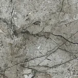 Essential Grey Polished Rect - dlaždice rektifikovaná 59,8x59,8 šedá NT1058-039-1