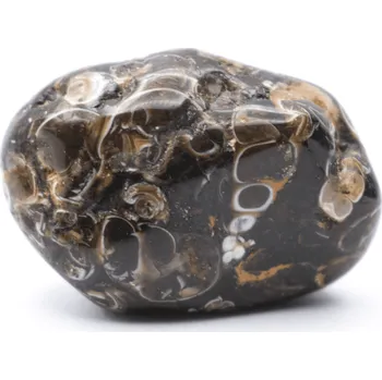 Sběratelství Milujeme Kameny Achát mušlový (turitella) 246427