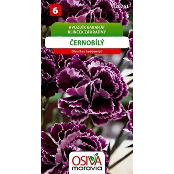 Semeno Osiva Moravia Hvozdík karafiát černobílý 0,2 g