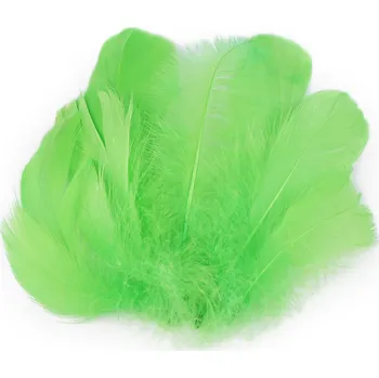 Výtvárné potřeby Pštrosí peří délka 6-11 cm, barva 5 zelená sv.