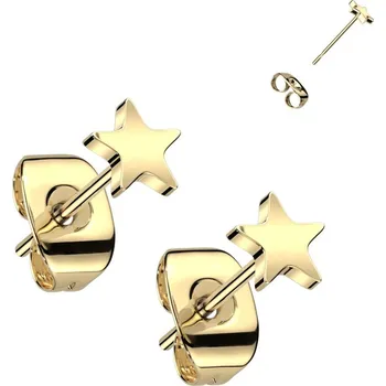 Náušnice Steel Edge Titanové náušnice pecky SET23ER09 Barva: Zlatá