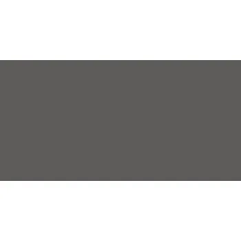 Dlažba Dlažba Argenta Carpenter dark 30x60 cm mat CARP36DA