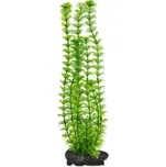 Tetra Ambulia L 30 cm